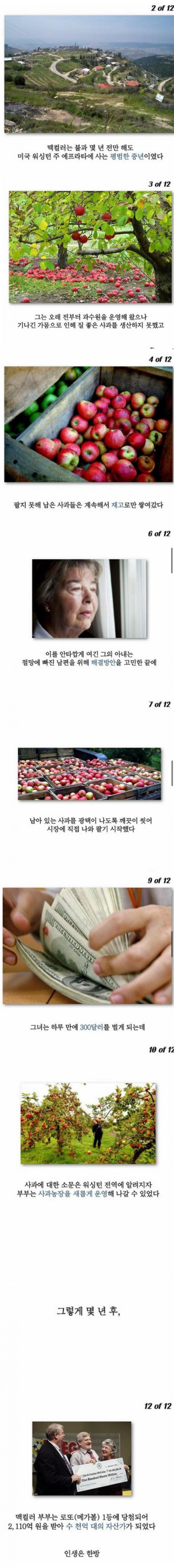 평범한 과수원 농부가 수천억대 자산가가 된 비결.jpg