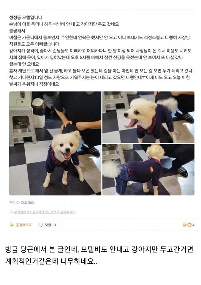 모텔 손님이 숙박비 대신 두고간것.jpeg