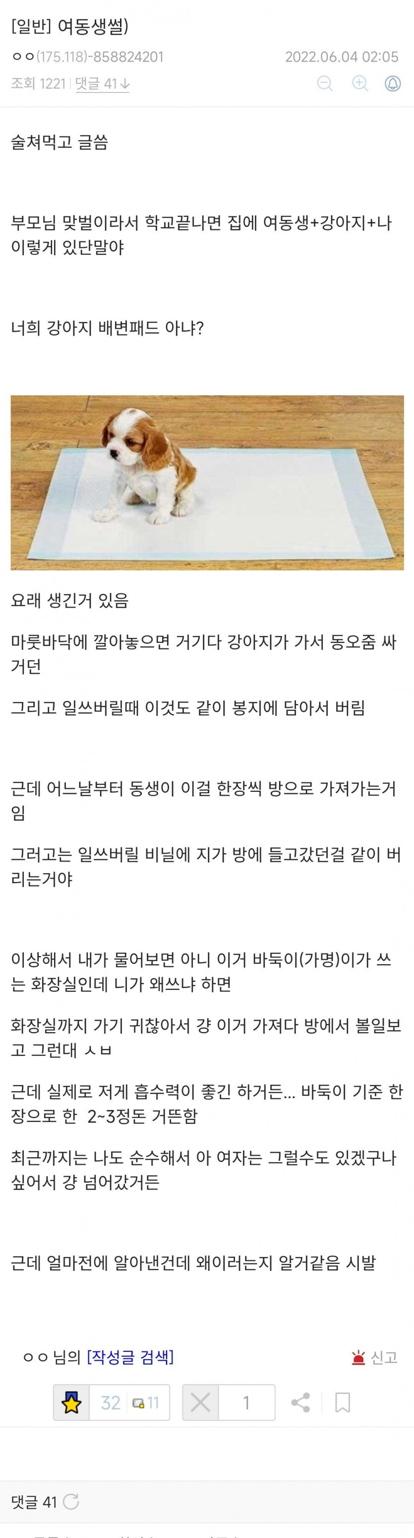 어느 디시인의 여동생썰.jpg