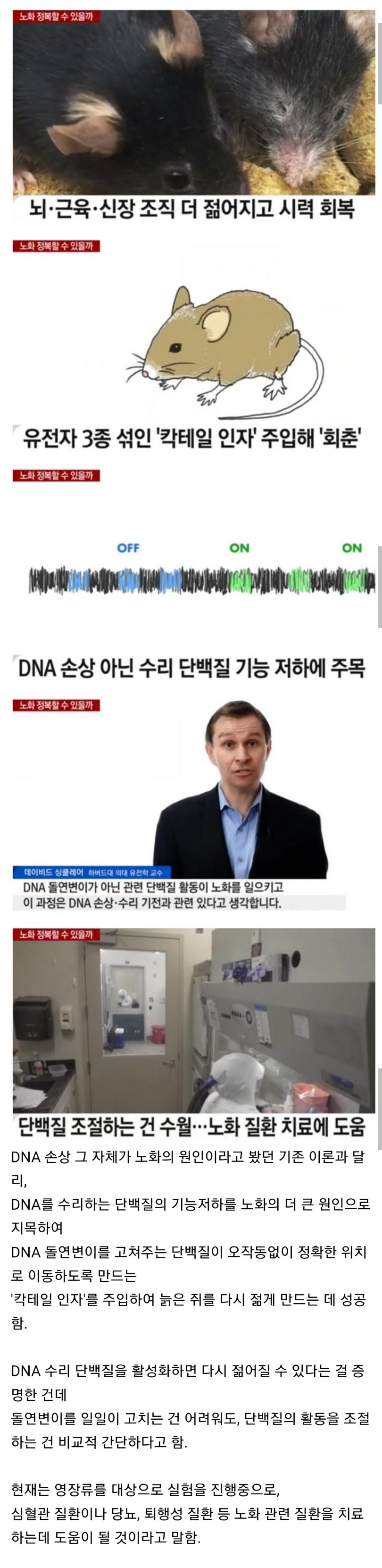 젊어지는 ',회춘', 약 개발 성공.JPG