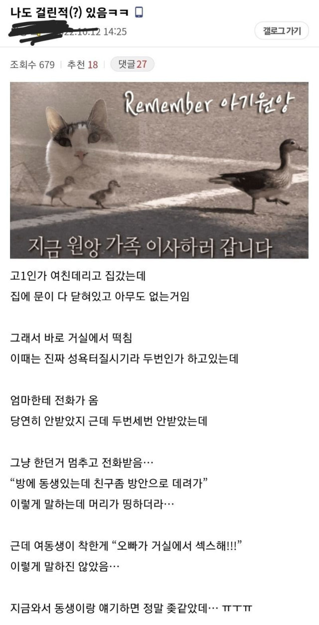 거실에서 ㅅㅅ하다 동생한테 걸림.jpg