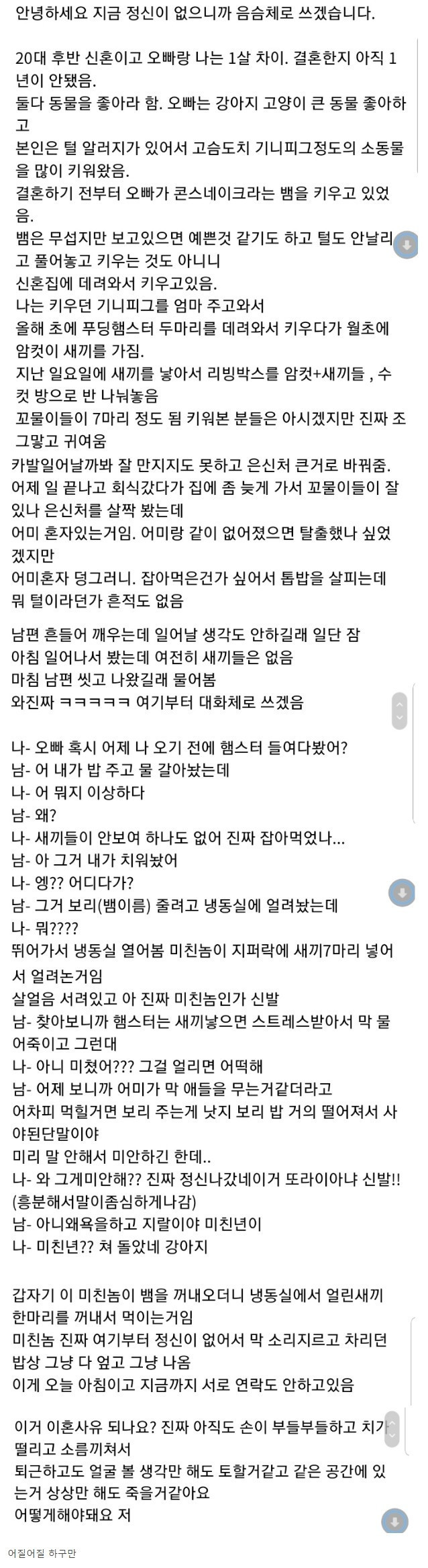 햄스터 때문에 이혼하게 생긴 부부.jpg