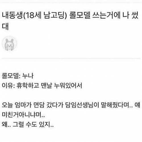 롤모델로 친누나를 쓴 고딩 남동생.jpg