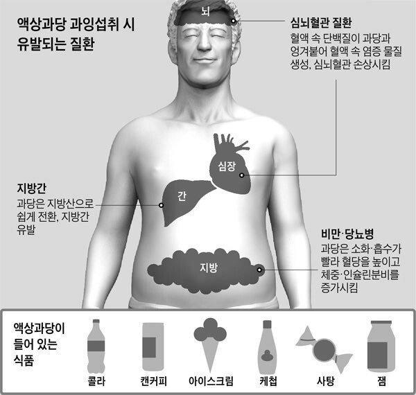 요즘 현대인들 비만 원인 1순위.jpg