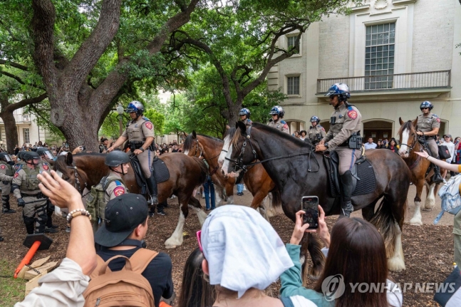 시위대 해산시키려 대학에 들어온 텍사스주 기마 경찰대 [AFP=연합뉴스. 재판매 및 DB 금지]