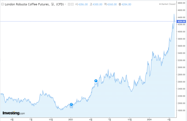 로부스타 커피선물 상품의 최근 1년간 가격 추이 /출처=런던선물거래소, 인베스팅닷컴
